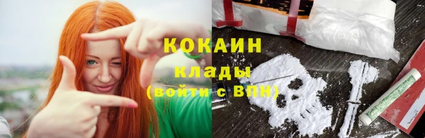 шишки Арсеньев