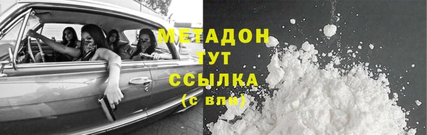 шишки Арсеньев