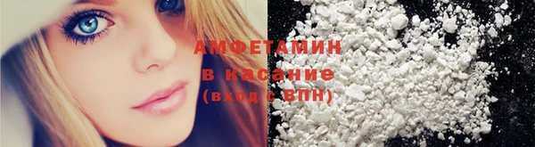 шишки Арсеньев