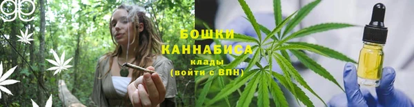 шишки Арсеньев