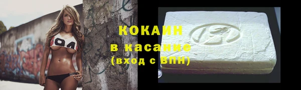 шишки Арсеньев