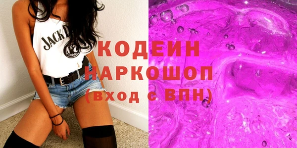 шишки Арсеньев