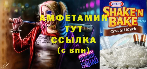 шишки Арсеньев