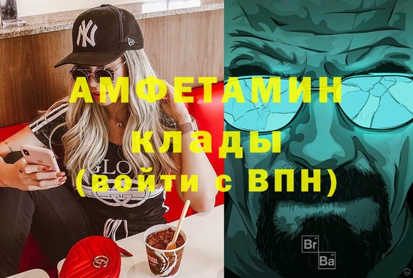 шишки Арсеньев