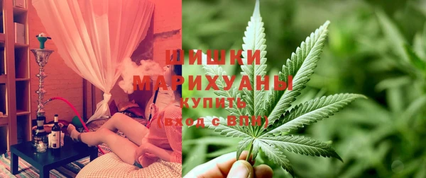 шишки Арсеньев