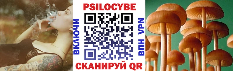 Галлюциногенные грибы GOLDEN TEACHER  Купить где  Дятьково 