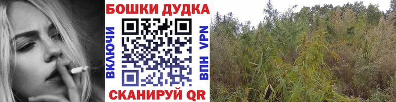 Купить закладки  Дятьково  Бошки марихуана планчик 